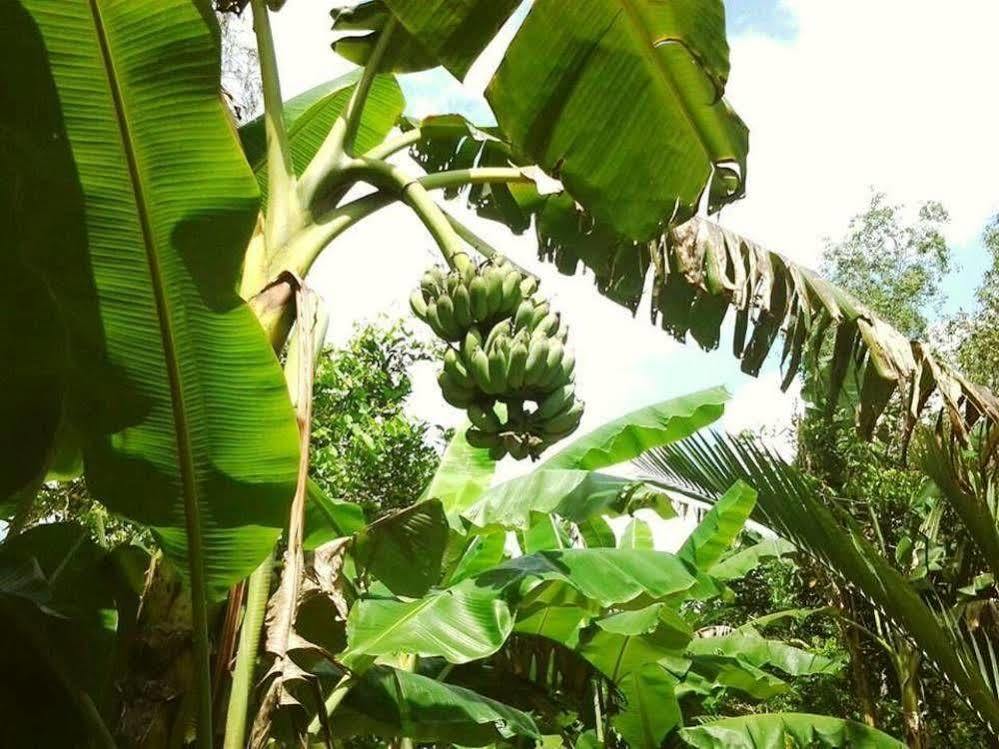 Green Village Homestay Can Tho Exterior foto